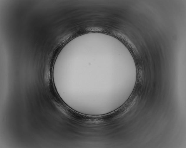 X0000086740541200705111637