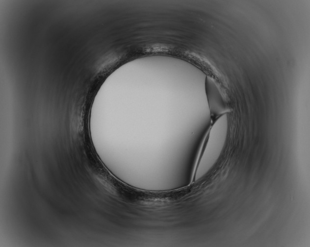 X0000086740543200705111637