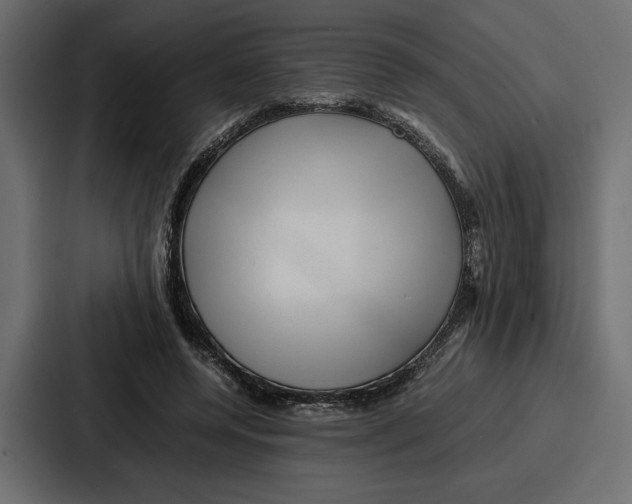 X0000086740544200705111637