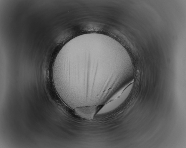X0000086740547200705111637
