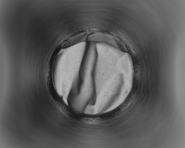 X0000086740548200705111637