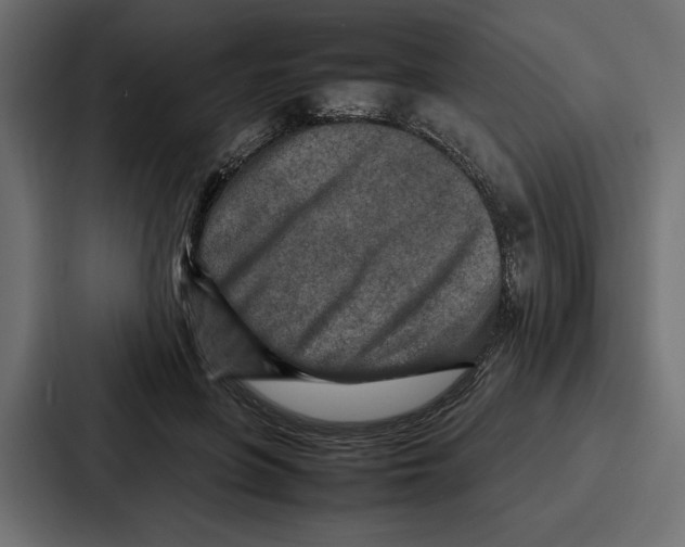 X0000086740551200705111637