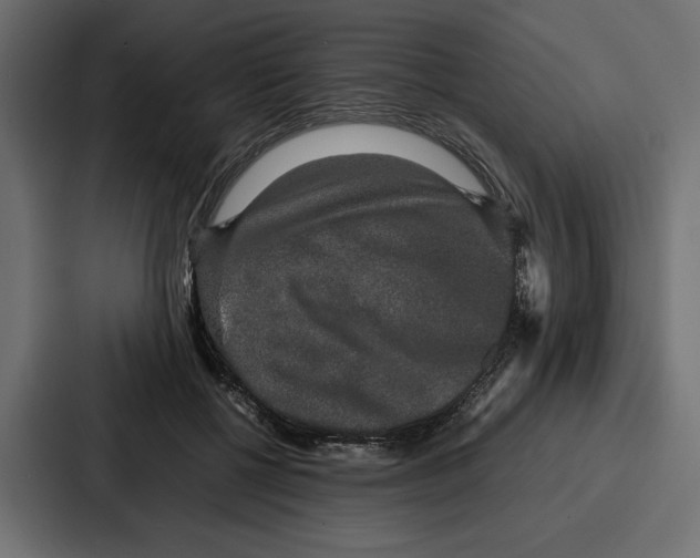 X0000086740552200705111637
