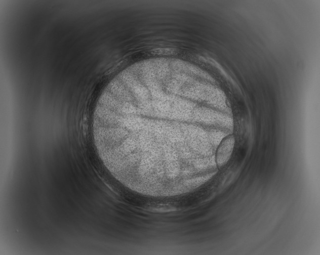 X0000086740553200705111637