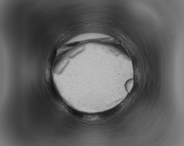 X0000086740554200705111637