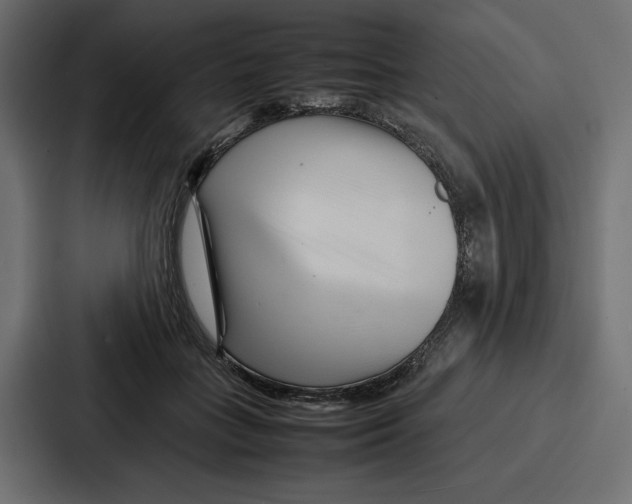X0000086740555200705111637