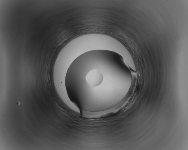 X0000086740556200705111637