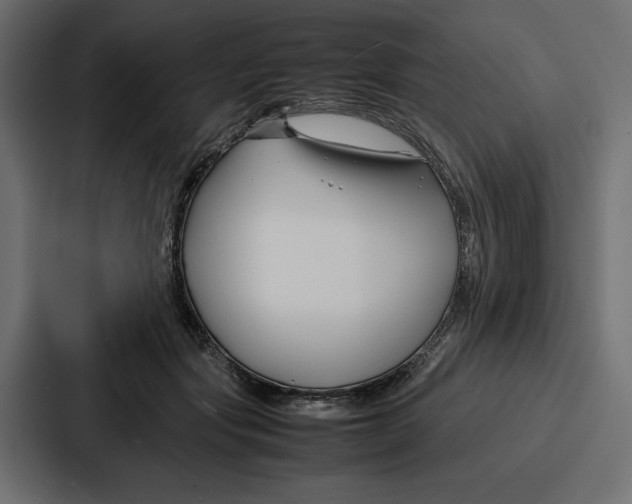 X0000086740557200705111637