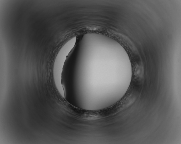 X0000086740559200705111637