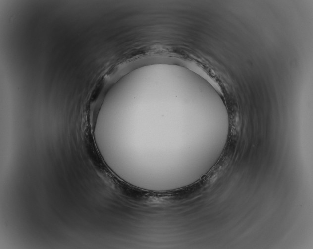 X0000086740560200705111637
