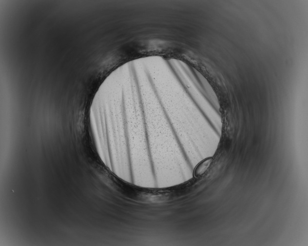 X0000086740563200705111637