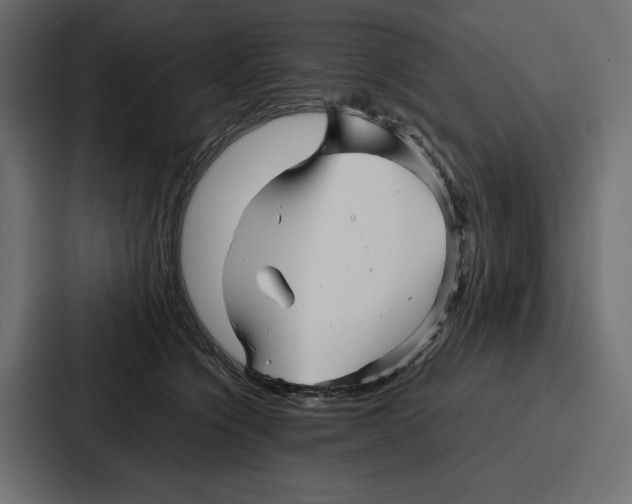 X0000086740564200705111637