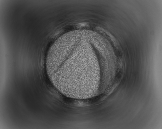 X0000086740565200705111637