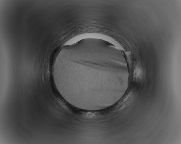 X0000086740566200705111637