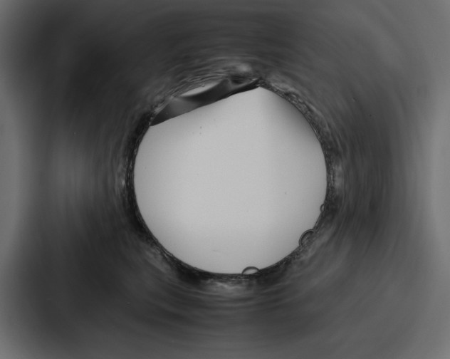 X0000086740567200705111637