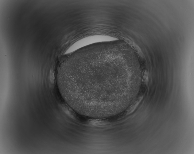 X0000086740568200705111637