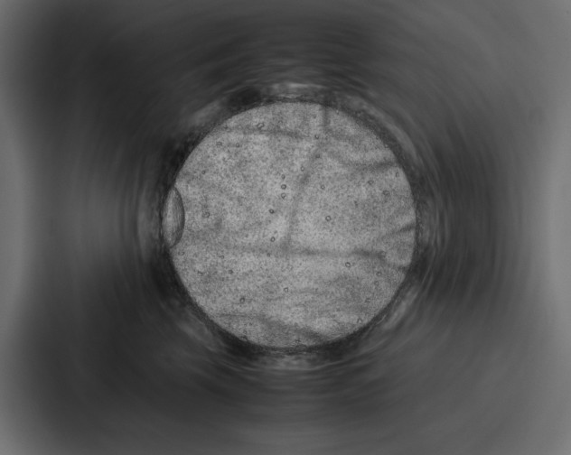 X0000086740569200705111637