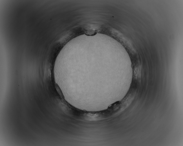 X0000086740570200705111637