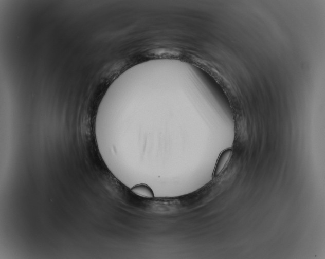 X0000086740571200705111637