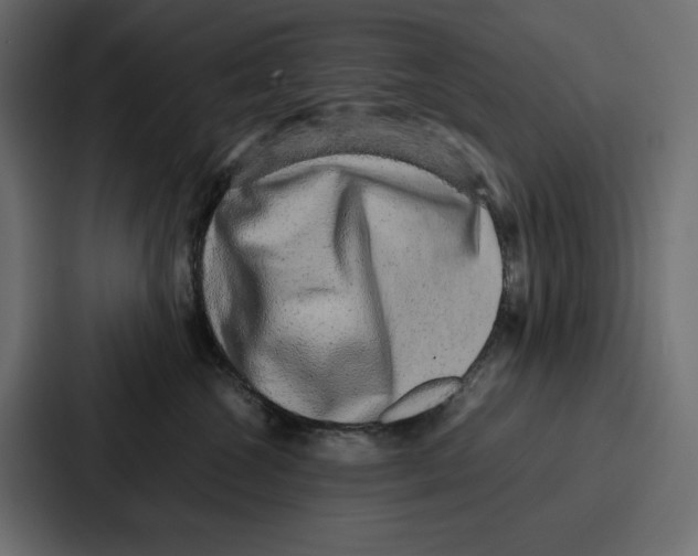 X0000086740572200705111637