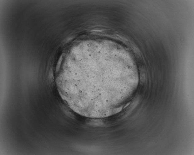 X0000086740573200705111637