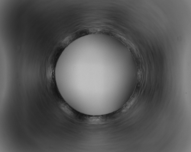 X0000086740574200705111637