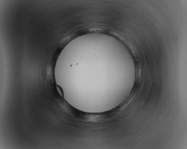 X0000086740575200705111637