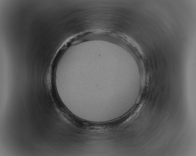 X0000086740580200705111636