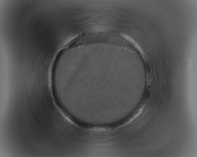 X0000086740581200705111636