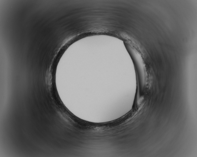 X0000086740584200705111636