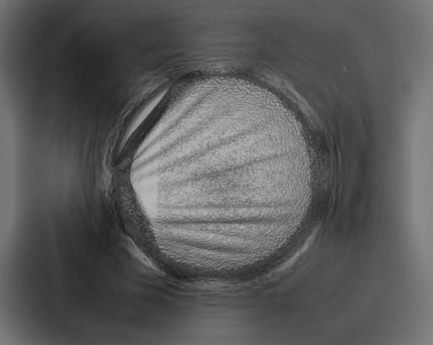 X0000086740585200705111636