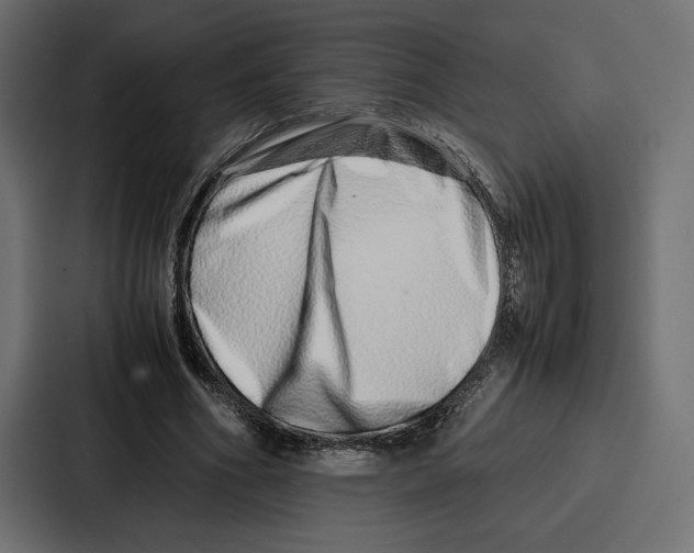 X0000086740586200705111636
