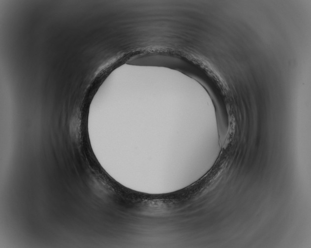 X0000086740588200705111636