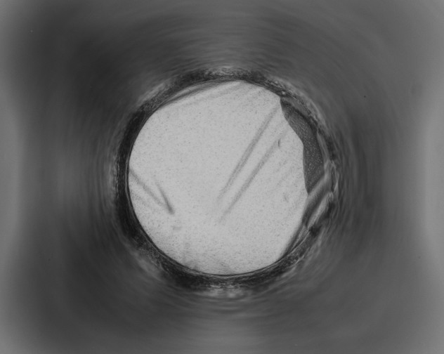 X0000086740591200705111636