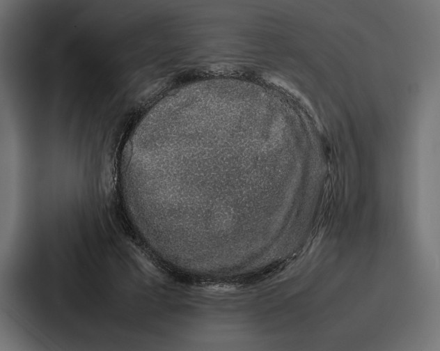 X0000086740593200705111636