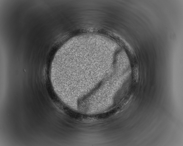 X0000086740594200705111636