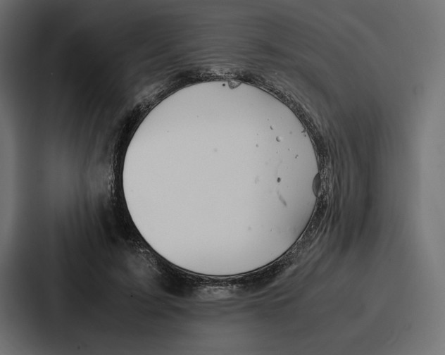 X0000086740595200705111636