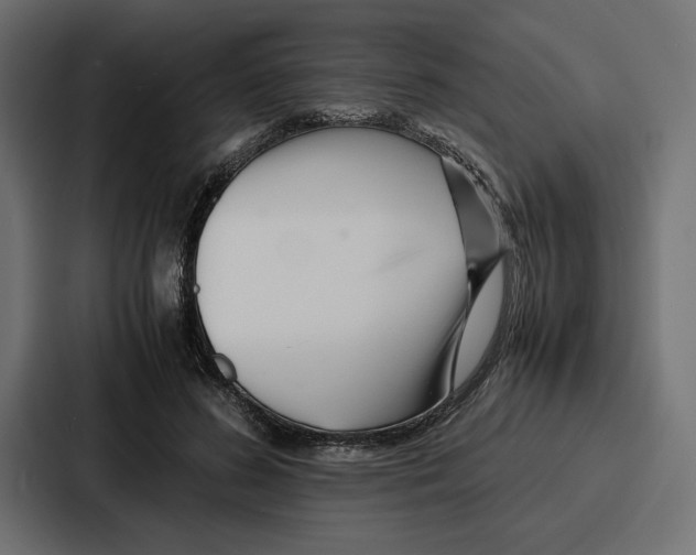 X0000086740596200705111636