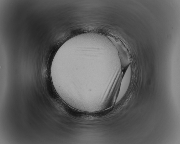 X0000086740597200705111636