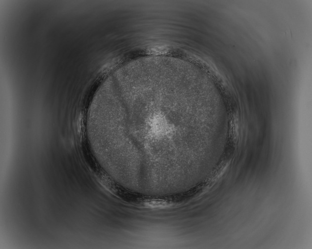 X0000086740598200705111636