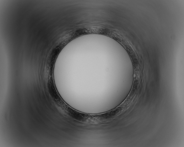 X0000086740599200705111636