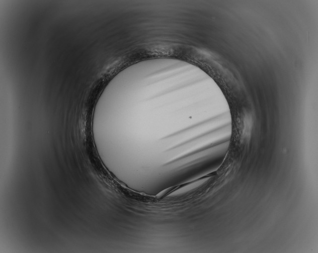 X0000086740600200705111636