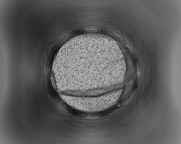 X0000086740601200705111636
