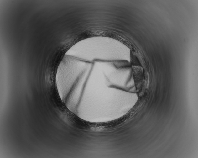 X0000086740602200705111636