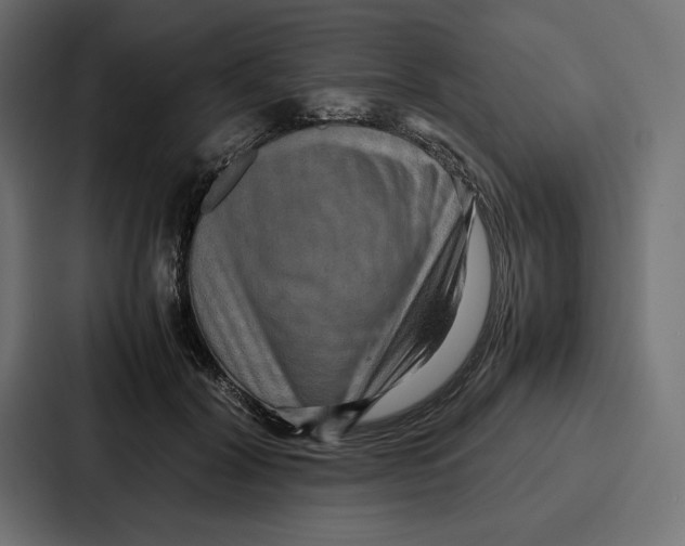 X0000086740604200705111636