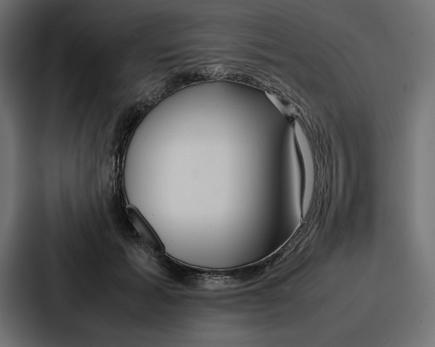 X0000086740605200705111636