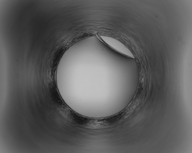 X0000086740607200705111636