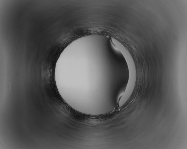 X0000086740608200705111636