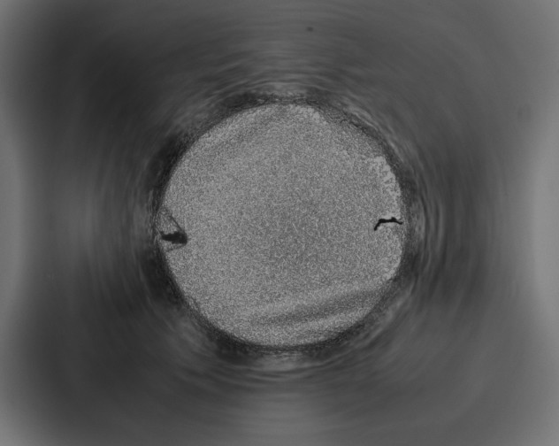 X0000086740609200705111636