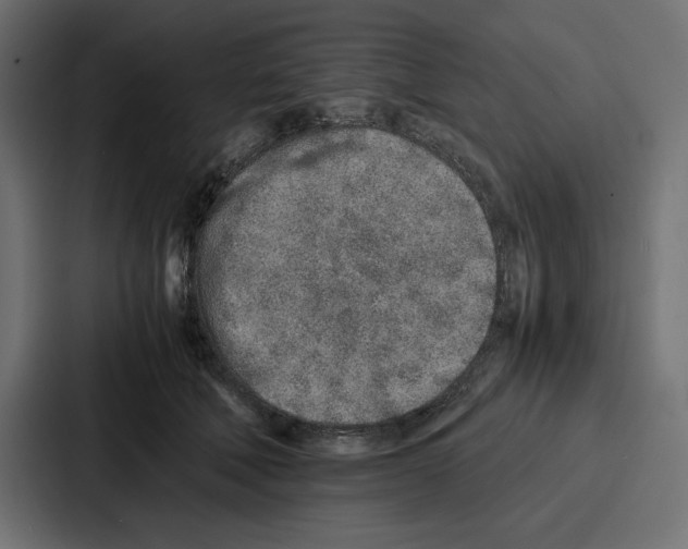 X0000086740610200705111636